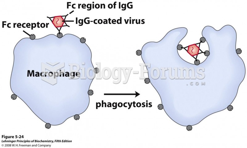 Phagocytosis of an antibody-bound virus by a macrophage