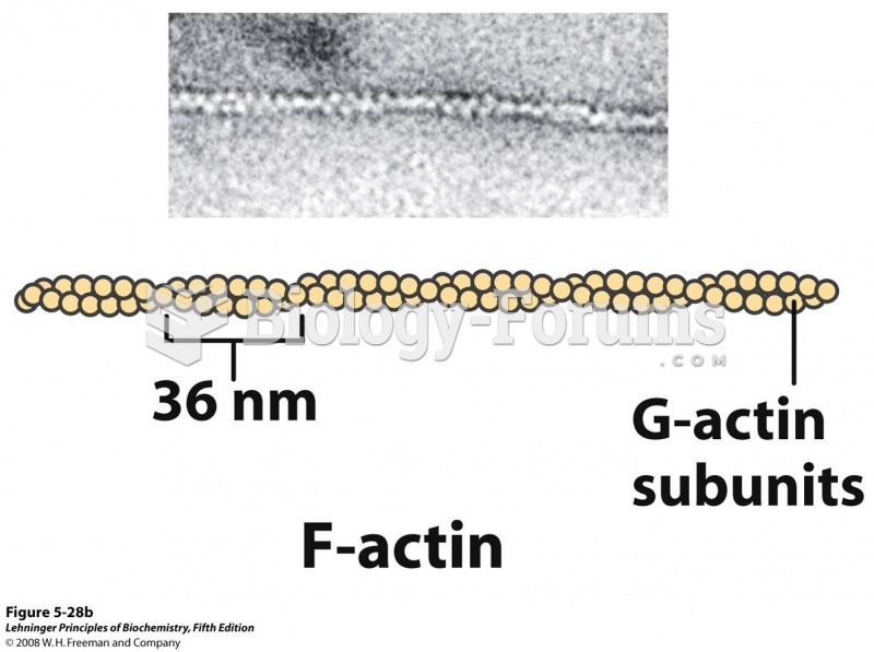 F-actin is a filamentous assemblage of G-actin monomers that polymerize