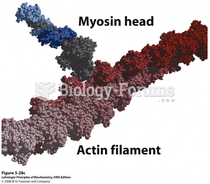 Space-filling model of an actin filament (shades of red) with one myosin head (gray and two shades o