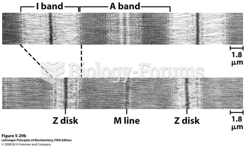 The fibers are made up of many myofibrils