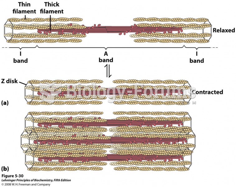 Thick filaments are bipolar structures created by the association of many myosin molecules