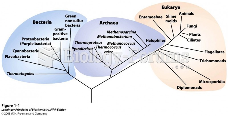 Phylogeny of the three domains of life