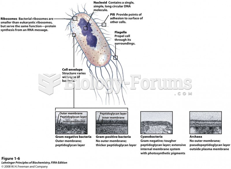 Common structural features of bacterial cells