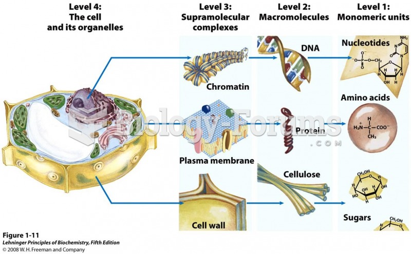 Structural hierarchy in the molecular organization of cells