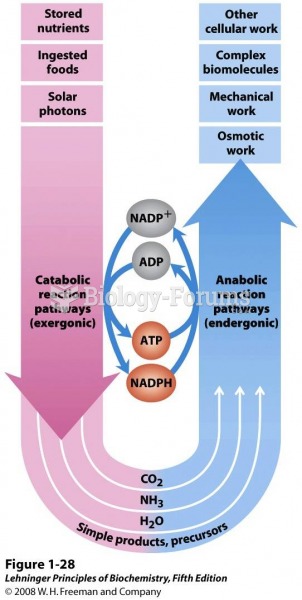 The central roles of ATP and NAD(P)H in metabolism