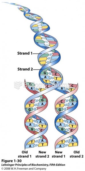 Complementarity between the two strands of DNA