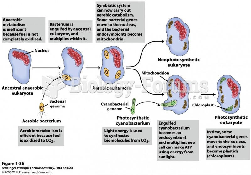 Evolution of eukaryotes through endosymbiosis