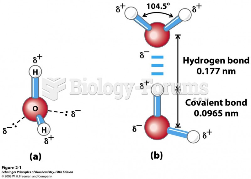 Structure of the water molecule