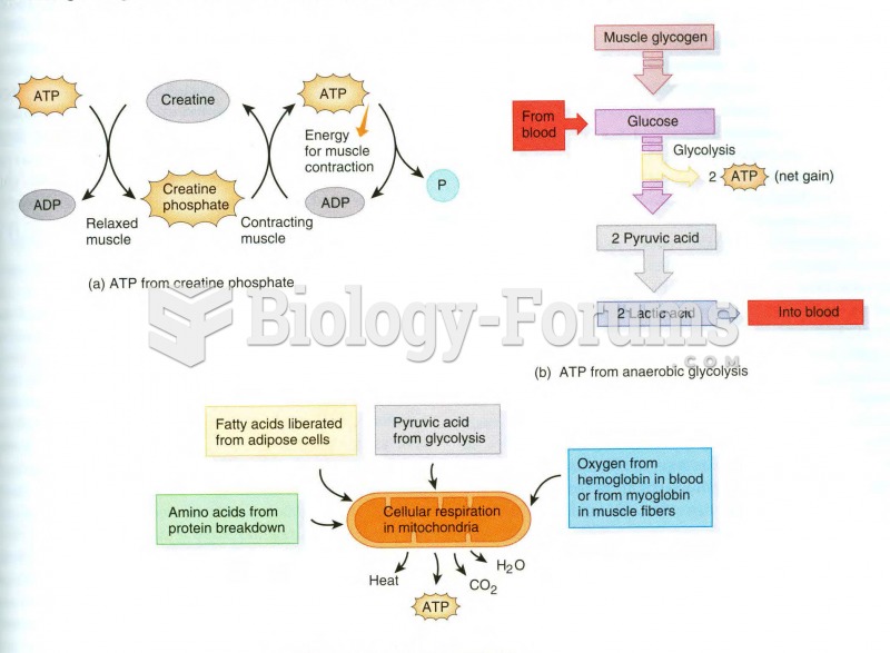 Energy pathways