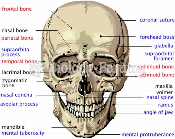 skull front