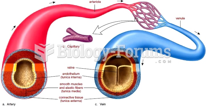 blood vein and vessel