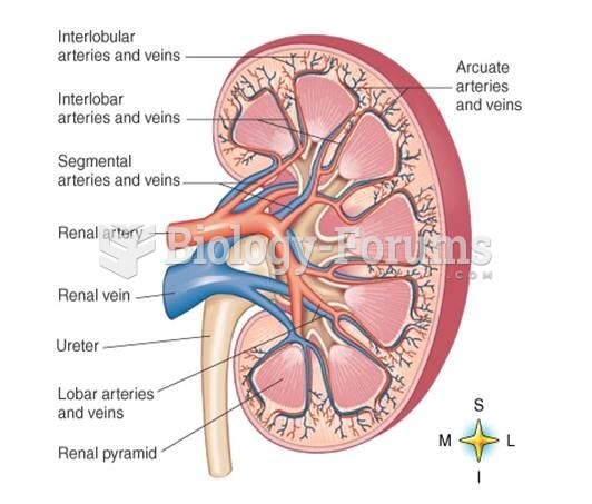 kidney blood flow