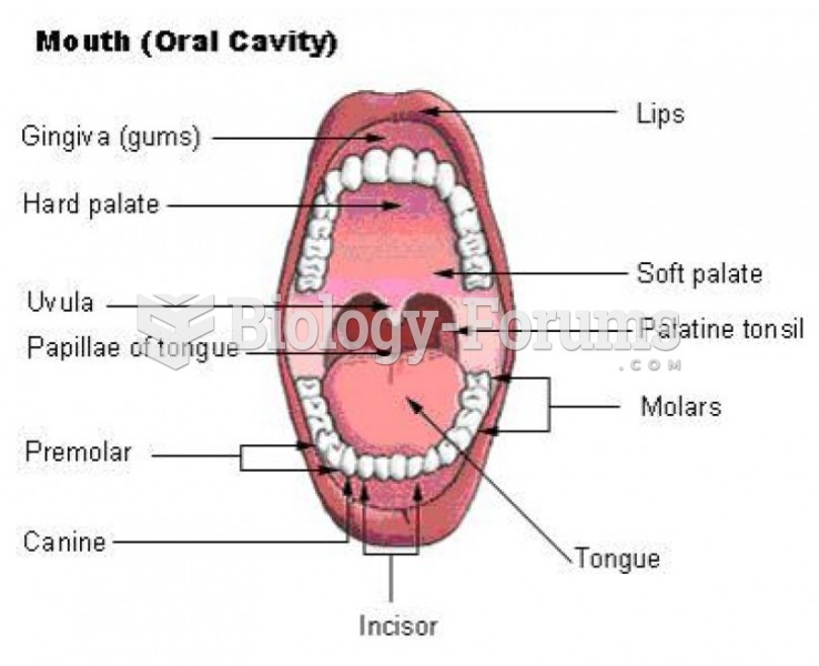 oral anatomy