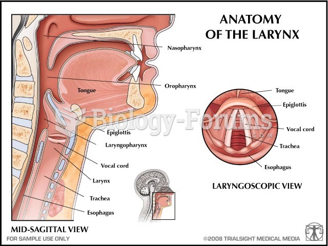 upper anatomy