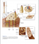 Components of Bone