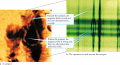 Zeeman Splitting by a Sunspot’s Magnetic Field