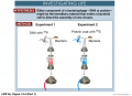 The Hershey-Chase Experiment p1