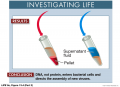 The Hershey-Chase Experiment p2