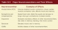 Major Neurotransmitters and Their Effects