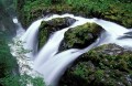 Sol Duc Falls in Olympic National Park, Washington.