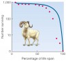 Survivorship curves.