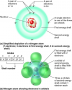 Diagrams showing the multiple energy shells and orbitals of a nitrogen atom