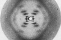 DNA X-ray Diffraction