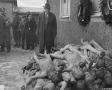 Senator Alben Barkley of Kentucky views emaciated bodies at Buchenwald, Germany, one of several ...