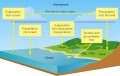 The water cycle