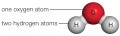 The water molecule