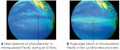 Satellite data on primary productivity in the equatorial Pacific Ocean