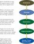 Stages of development in vertebrates.
