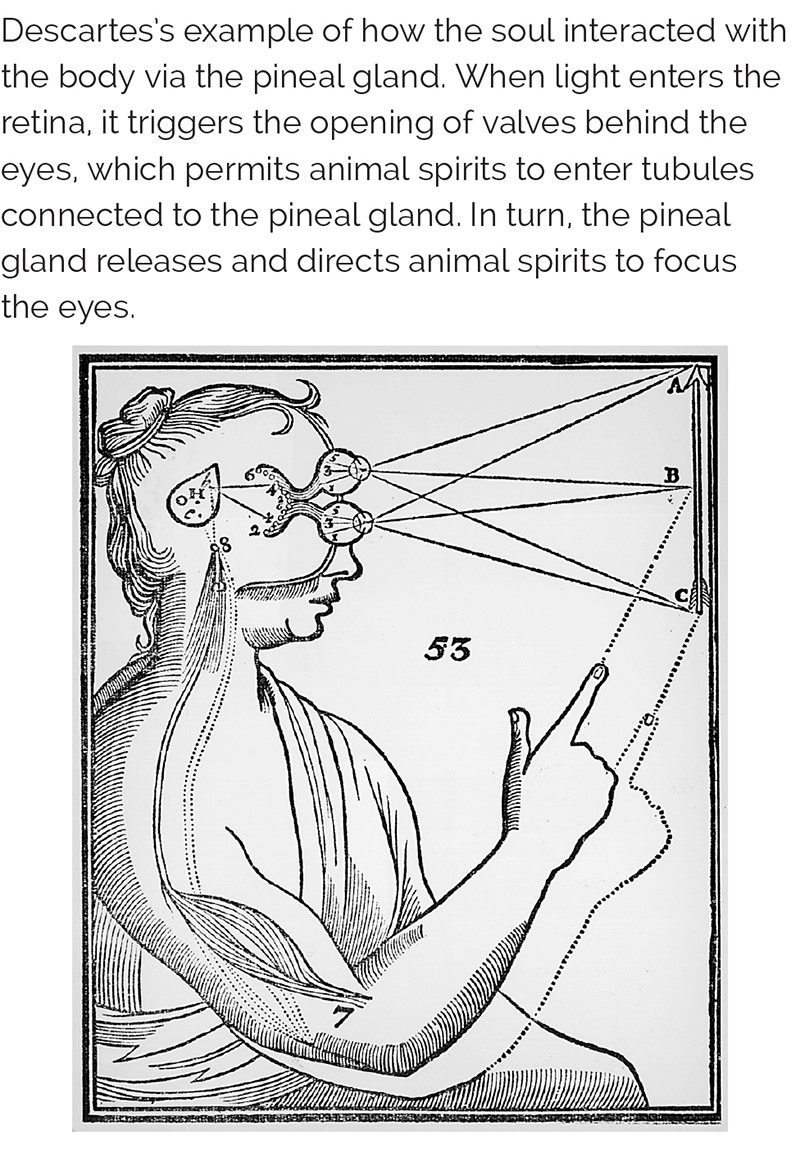 Descartes's example of how the soul interacted with the body