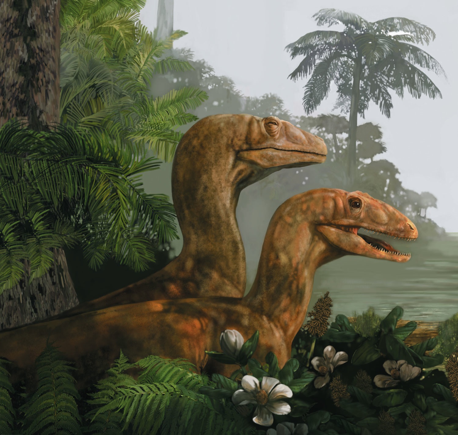 Angiosperms and Dinosaurs