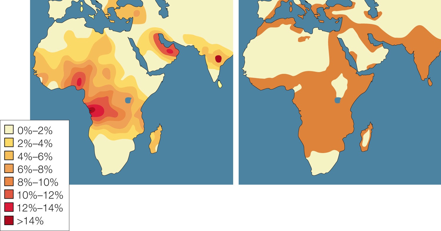 Sickle Cell Anemia and Malaria