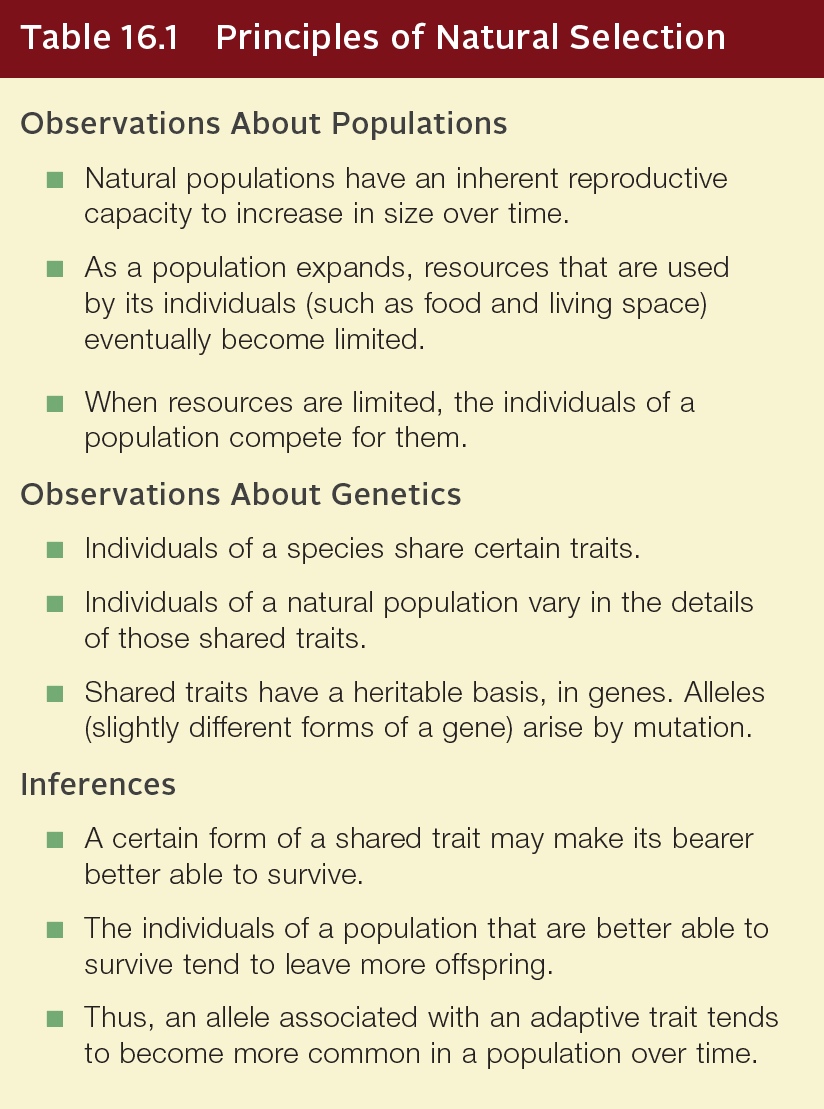 Principles of Natural Selection