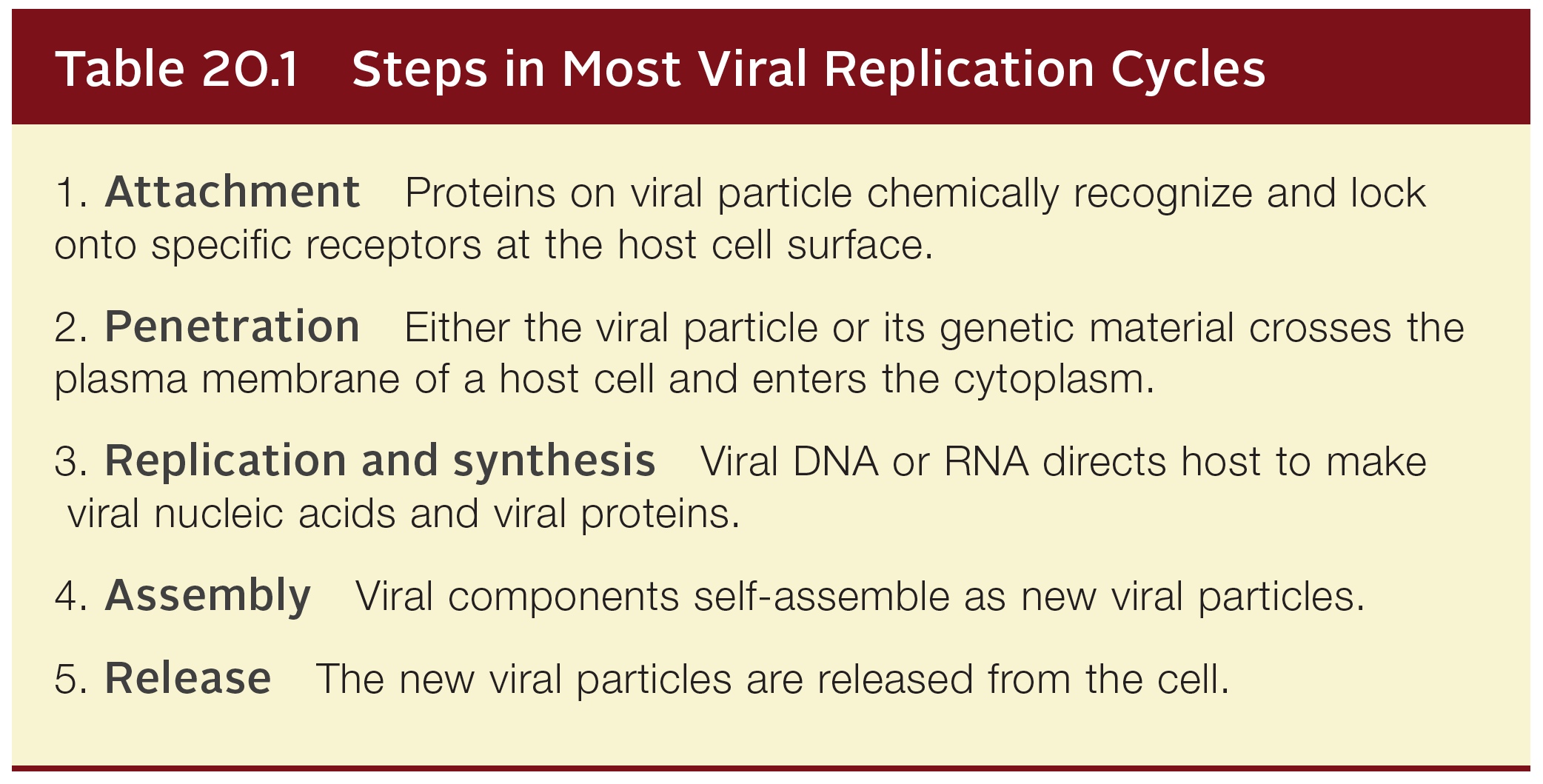 Steps in most viral replication cycles