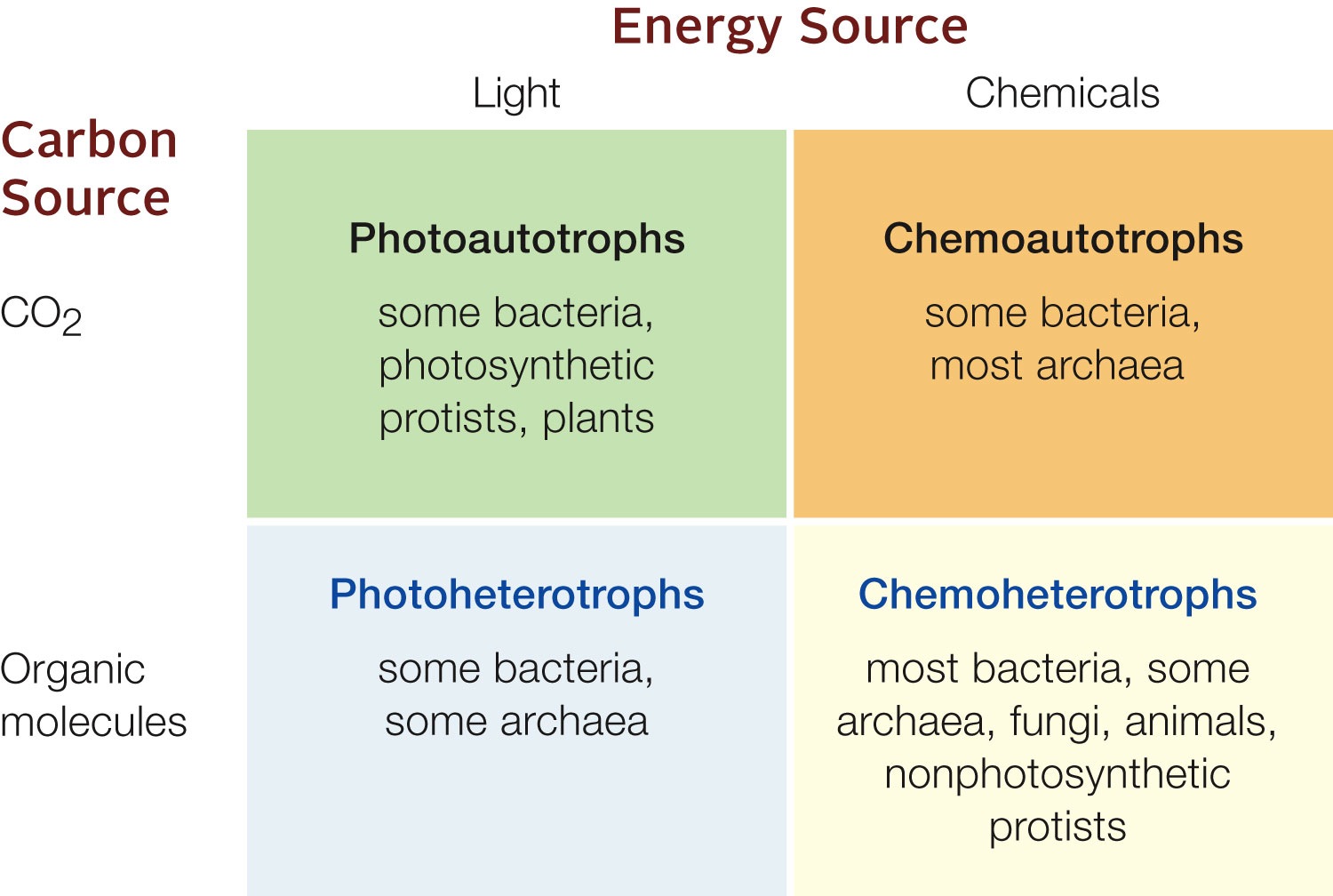 Prokaryotic Nutritional Modes