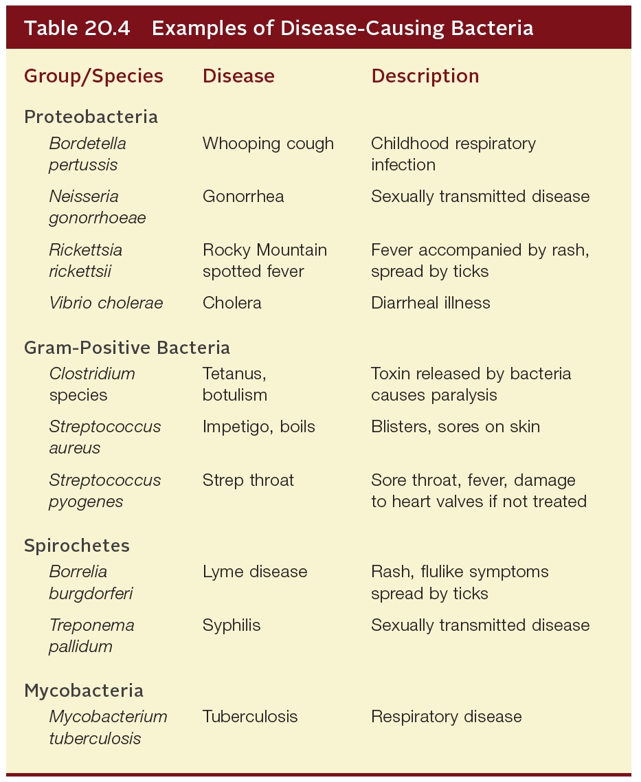 Examples of Disease-Causes Bacteria