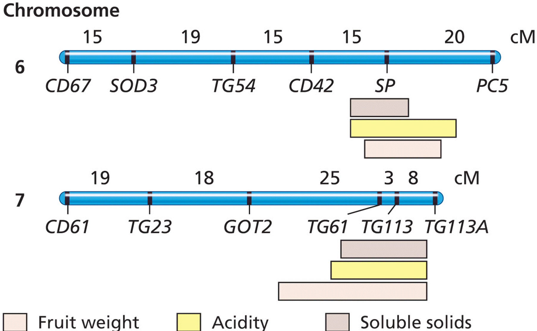 QTL mapping in domestic tomato