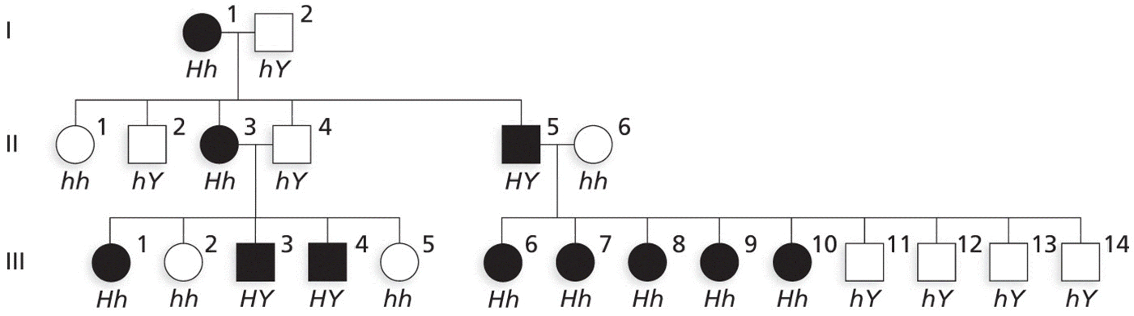 X-linked dominant congenital generalized hypertrichosis (CGH) in a family