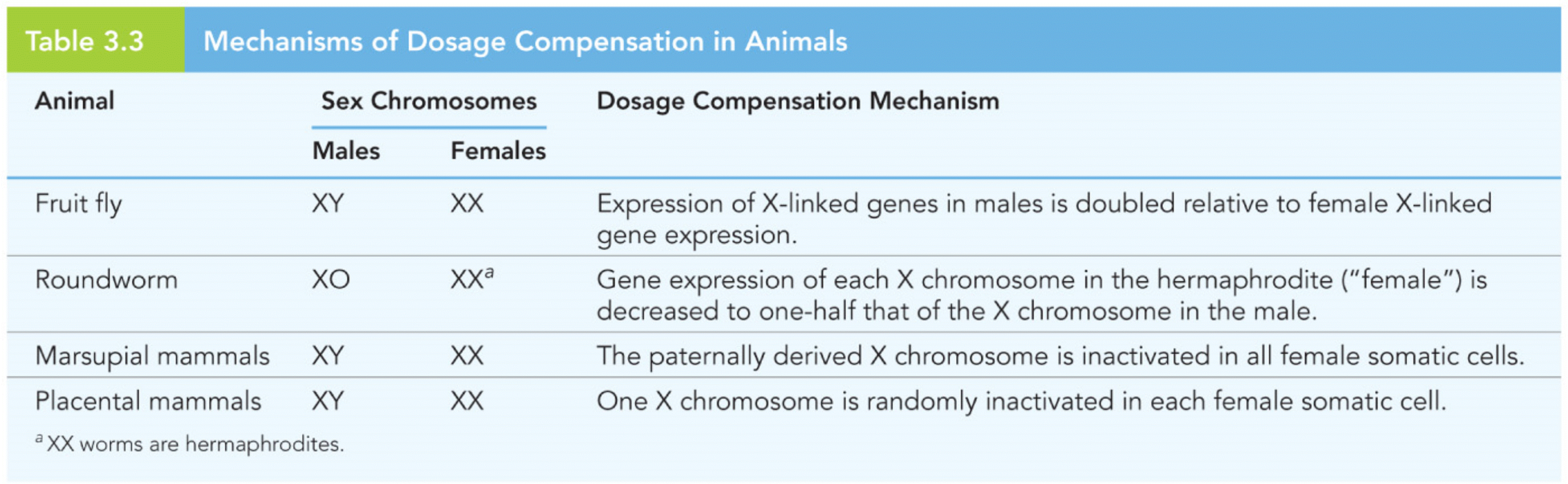 Mechanisms of Dosage Compensation in Animals