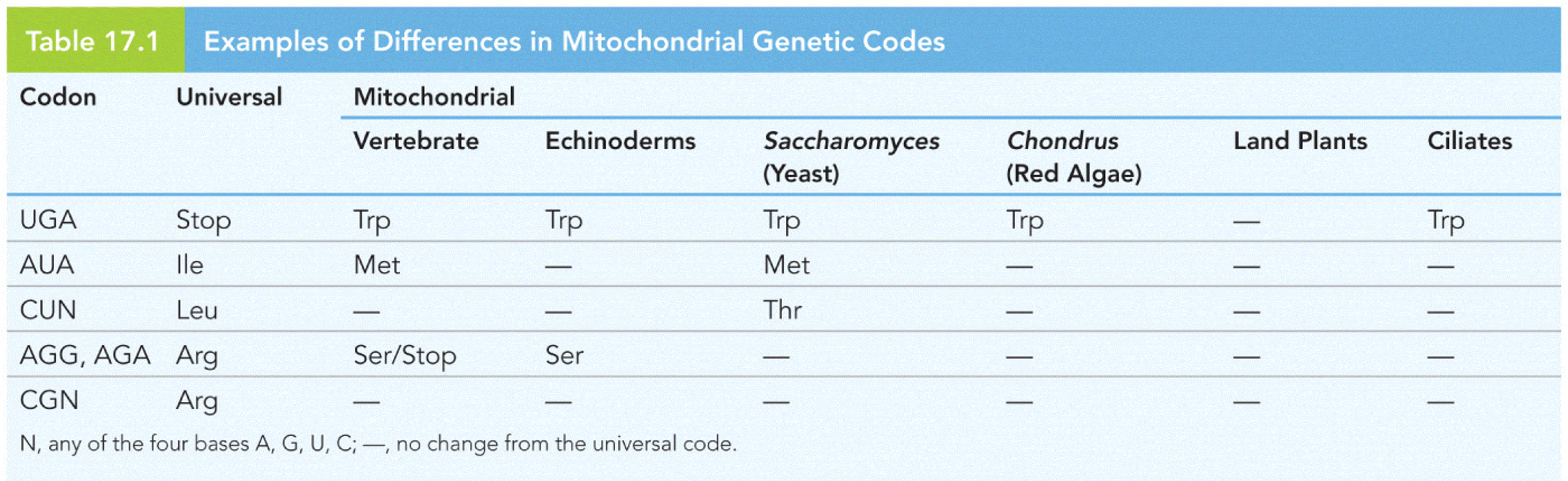 Examples of Differences in Mitochondrial Genetic Codes