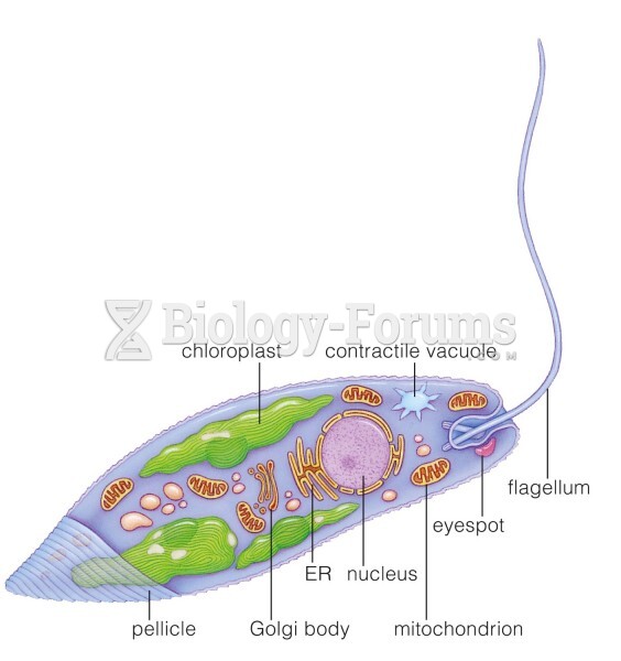 Sketch of Euglena gracilis