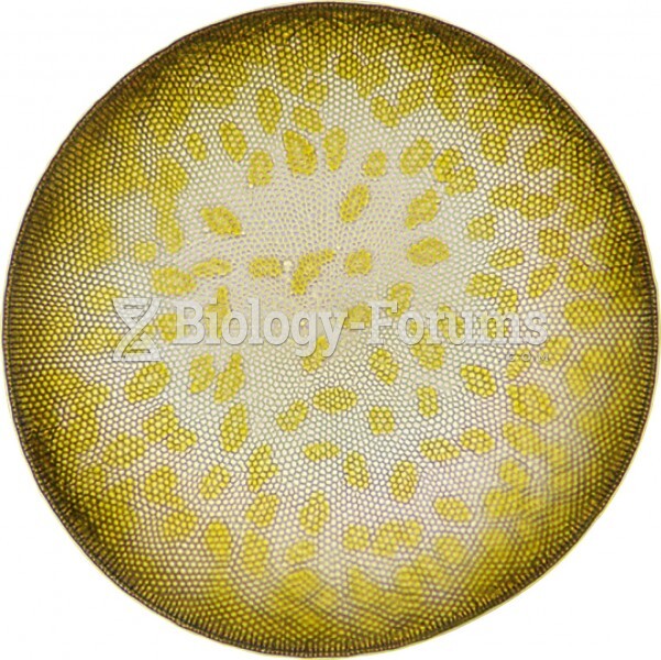 Light micrograph of a live diatom, with chloroplasts visible through the shell