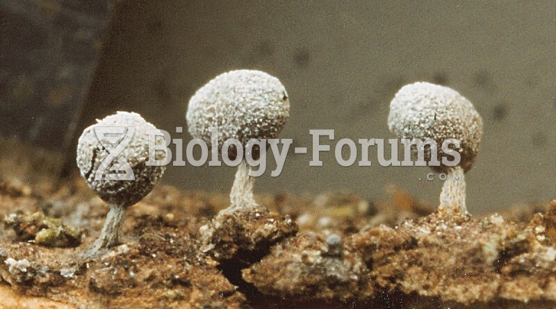 Fruiting Bodies with Resting Spores