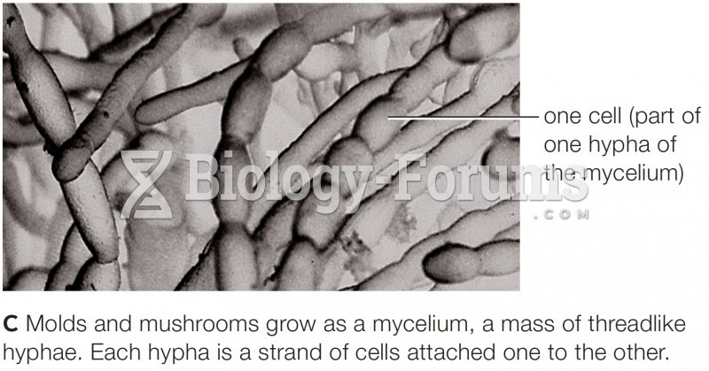 Hyphae in a Mycelium