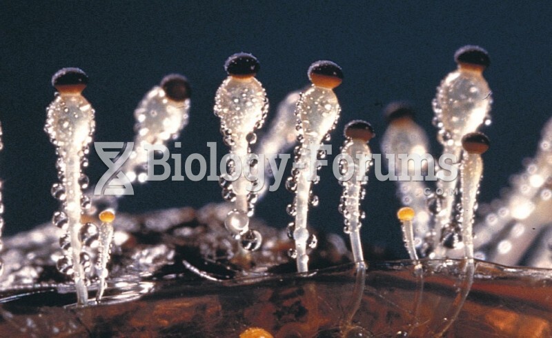 Spore Bearing Structures of Pilobolus