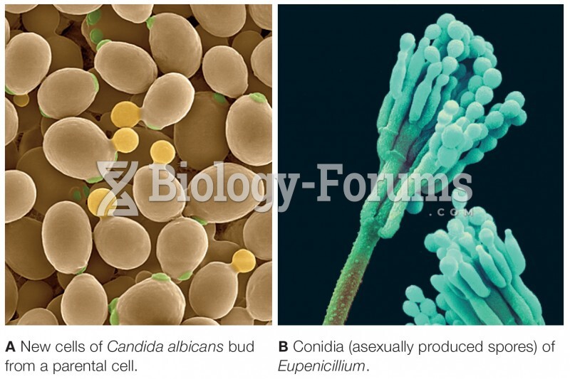 Asexual reproduction in sac fungi