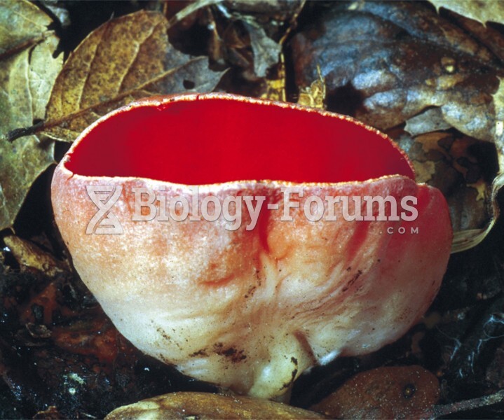 Ascocarp: Scarlet Cup Fungus